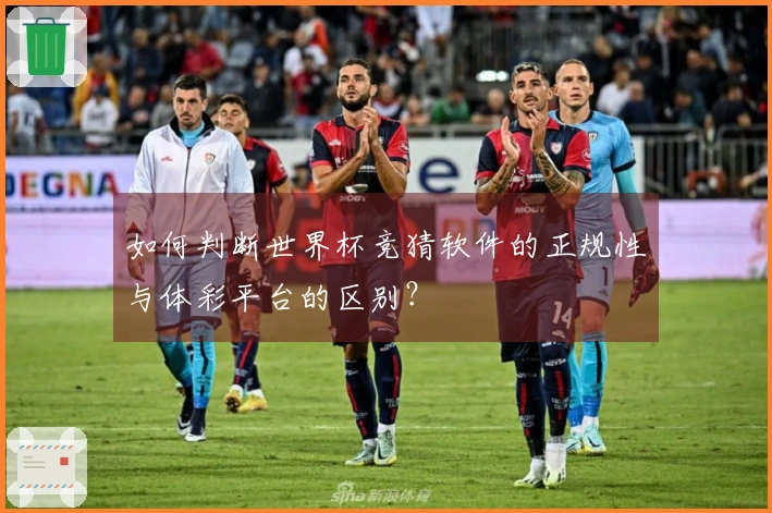如何判断世界杯竞猜软件的正规性与体彩平台的区别?