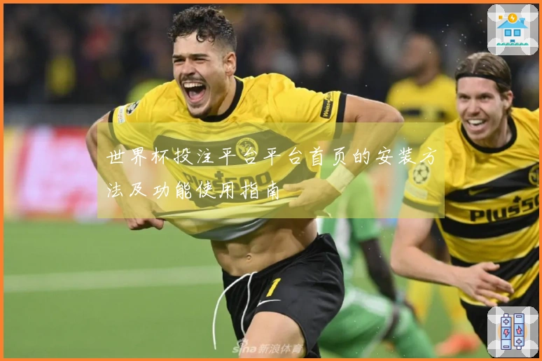 世界杯投注平台平台首页的安装方法及功能使用指南