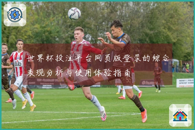 世界杯投注平台网页版登录的综合表现分析与使用体验指南