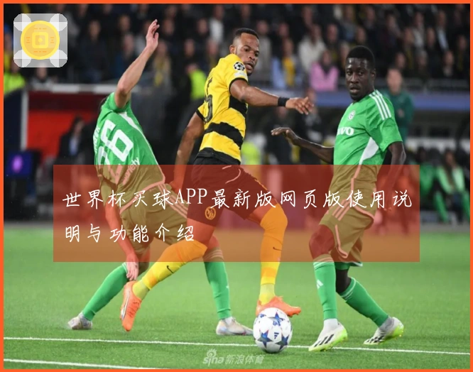 世界杯买球APP最新版网页版使用说明与功能介绍