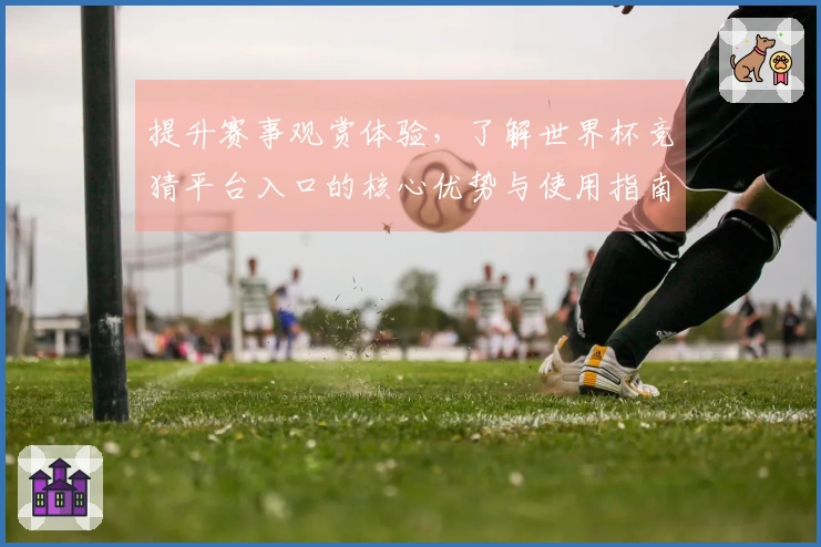 提升赛事观赏体验,了解世界杯竞猜平台入口的核心优势与使用指南