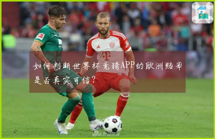 如何判断世界杯竞猜APP的欧洲赔率是否真实可信？