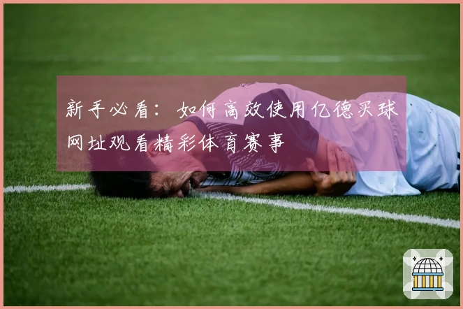 新手必看：如何高效使用亿德买球网址观看精彩体育赛事