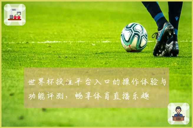 世界杯投注平台入口的操作体验与功能评测，畅享体育直播乐趣