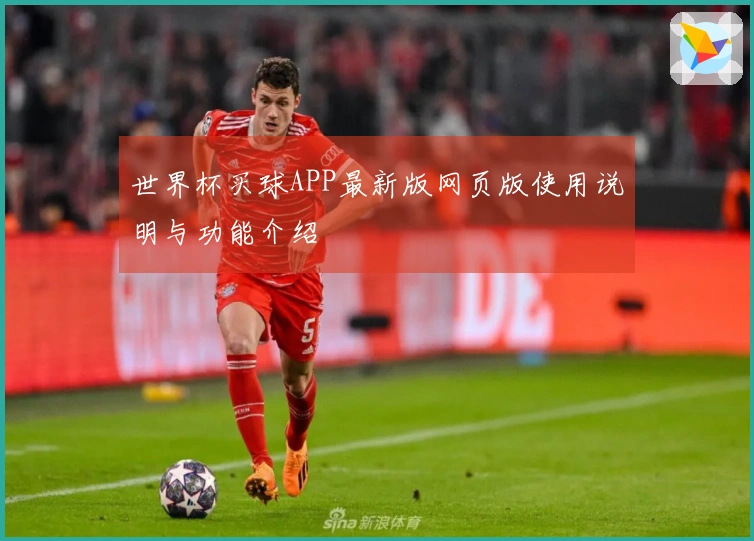 世界杯买球APP最新版网页版使用说明与功能介绍