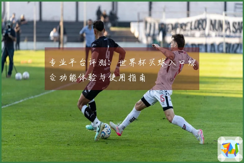 专业平台评测:世界杯买球入口综合功能体验与使用指南