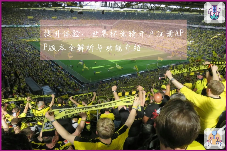 提升体验，世界杯竞猜开户注册APP版本全解析与功能介绍