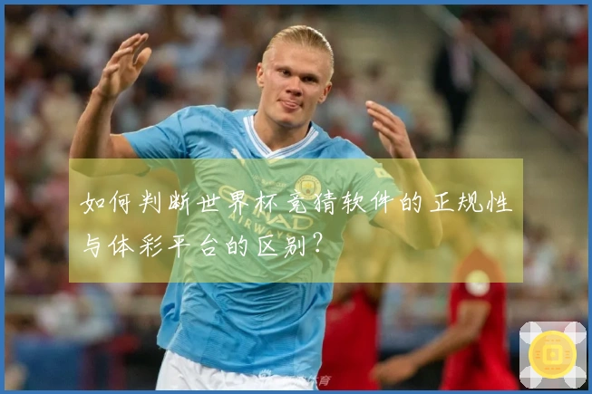 如何判断世界杯竞猜软件的正规性与体彩平台的区别？