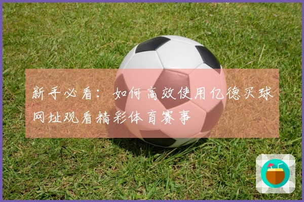 新手必看：如何高效使用亿德买球网址观看精彩体育赛事