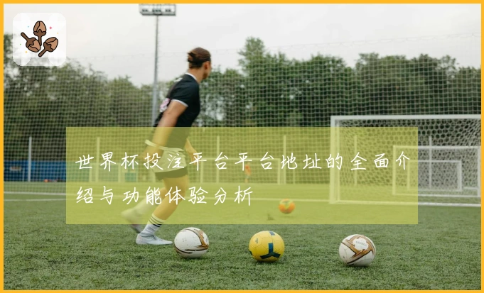 世界杯投注平台平台地址的全面介绍与功能体验分析