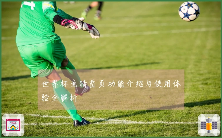 世界杯竞猜首页功能介绍与使用体验全解析