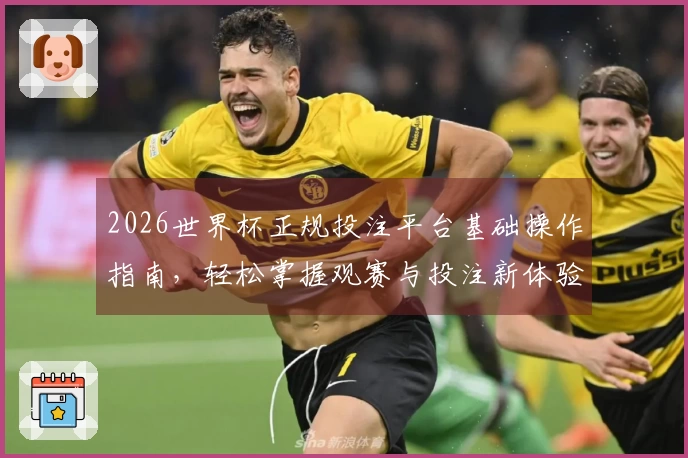 2026世界杯正规投注平台基础操作指南，轻松掌握观赛与投注新体验